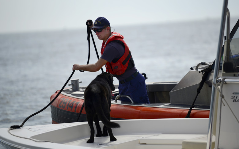 boating license Ontario